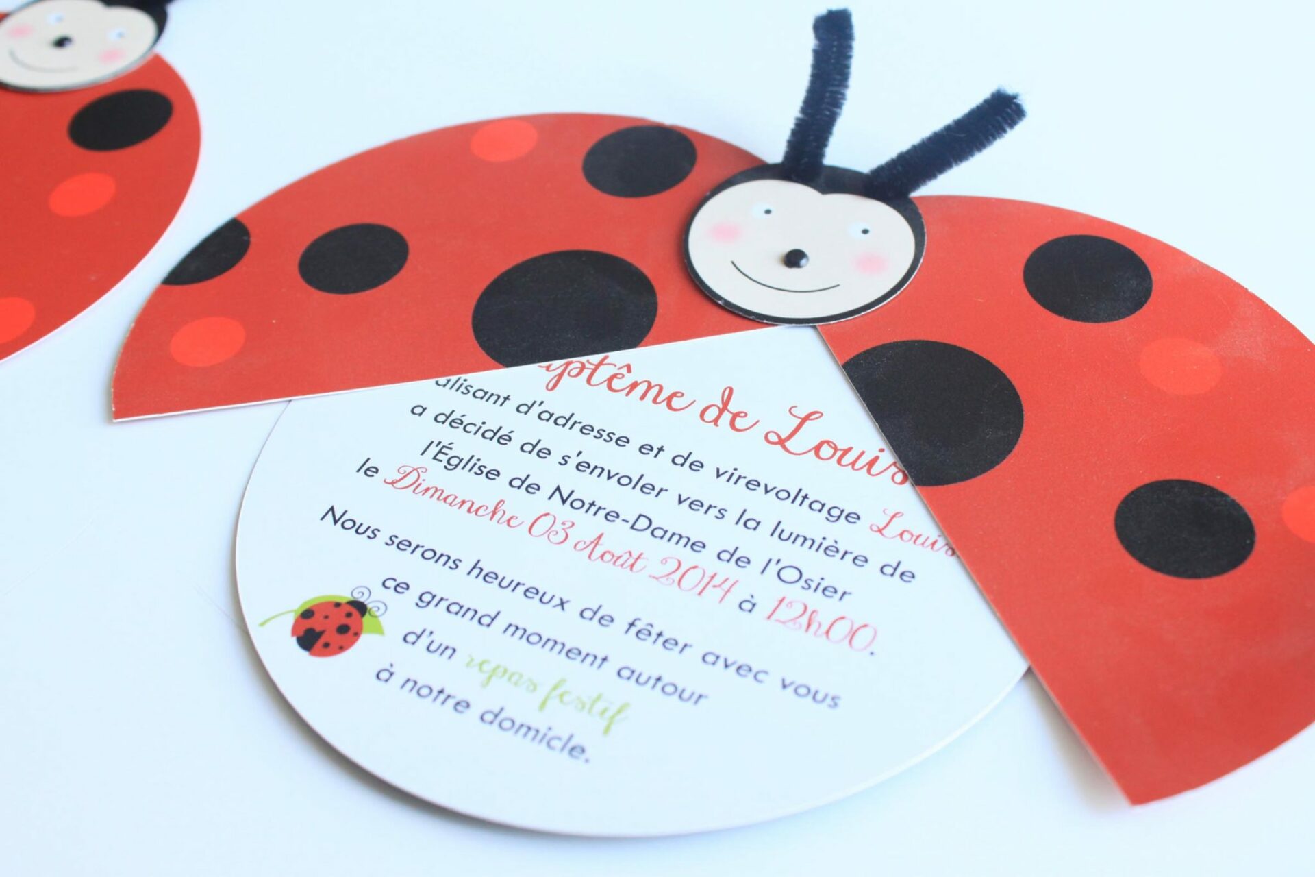 Faire-part baptême coccinelle