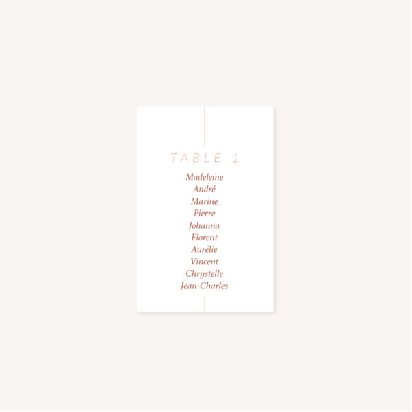 Plan de table mariage Terracotta brique blush