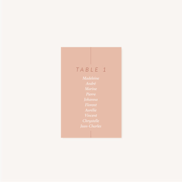 Plan de table mariage Terracotta brique blush