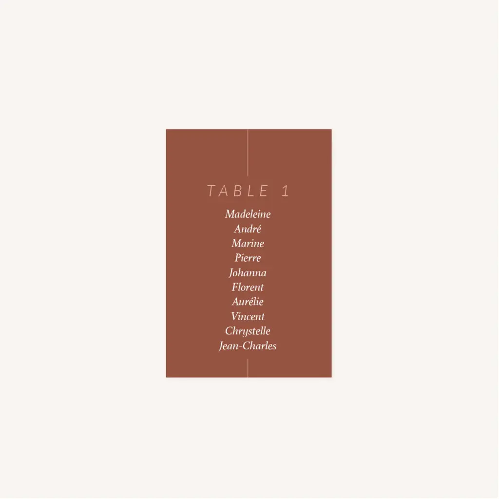 Plan de table mariage Terracotta brique blush