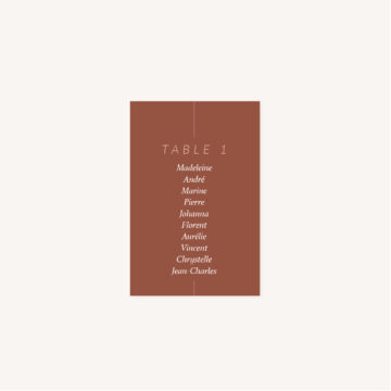 Plan de table mariage Terracotta brique blush