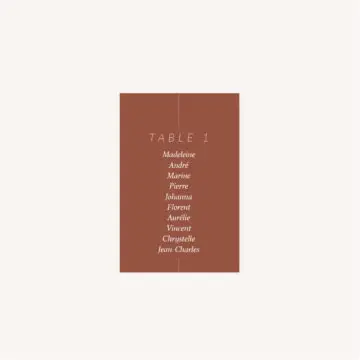 Plan de table mariage Terracotta brique blush