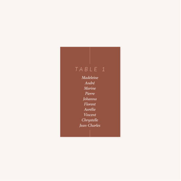 Plan de table mariage Terracotta brique blush