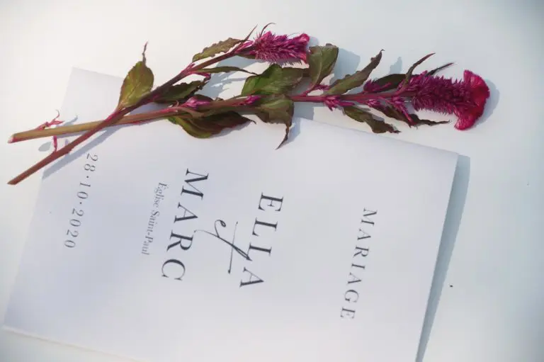 Faire-part mariage romantique moderne rose rouge bordeaux
