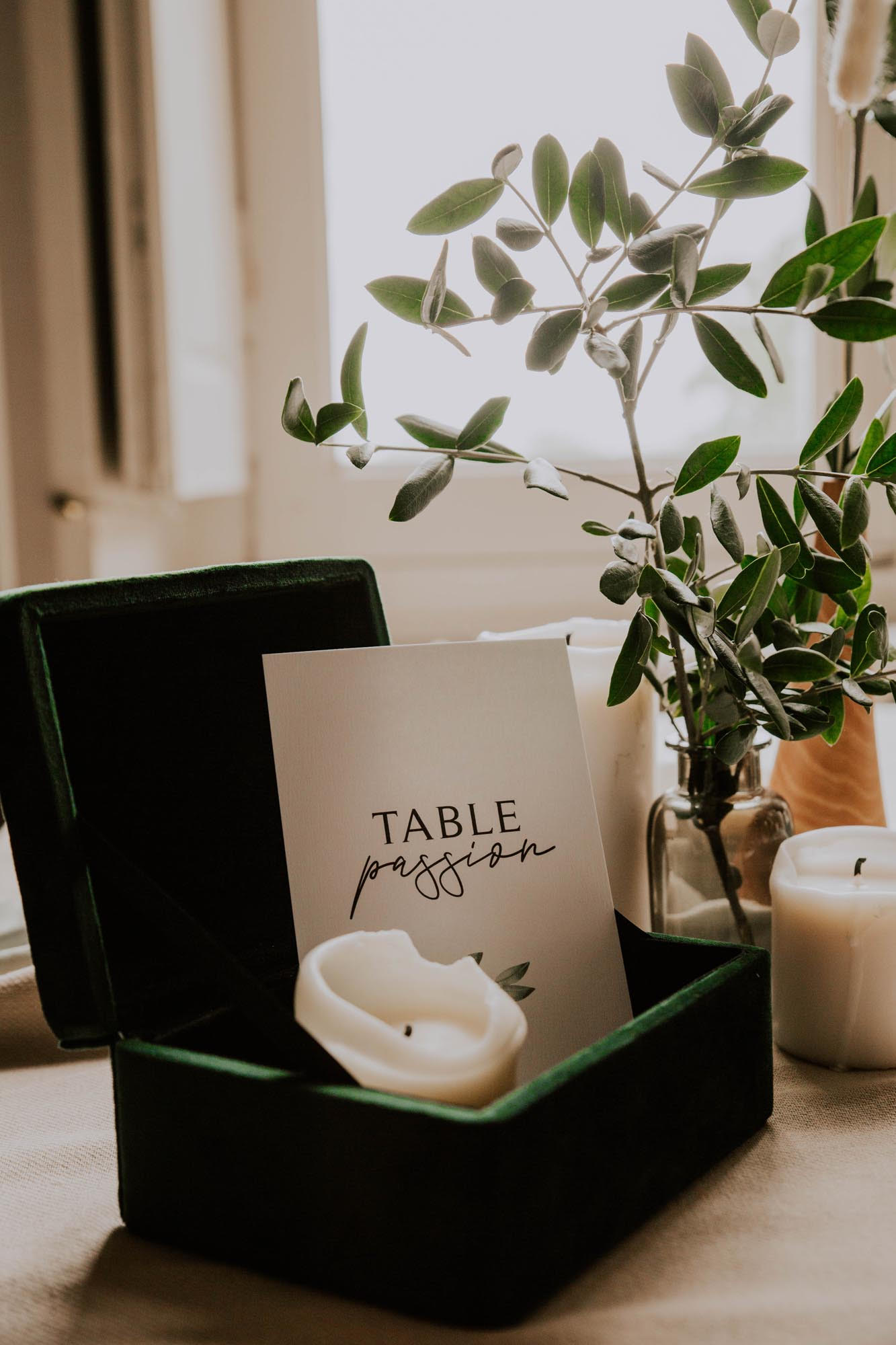 Nom de table mariage olivier nature blanc vert