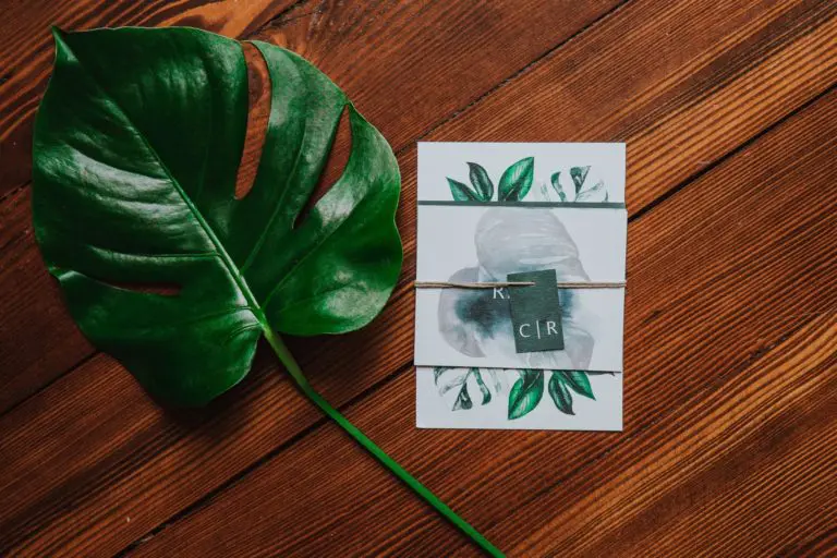 Faire-part mariage tropique feuillage vert et blanc
