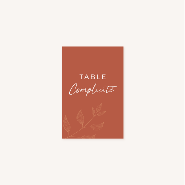 Nom de table mariage terre de sienne terracotta marron nature boheme beige or