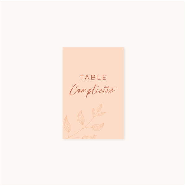 Nom de table mariage terre de sienne terracotta marron nature boheme beige or