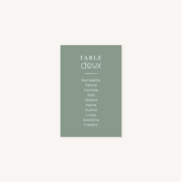 Mariage décoration papeterie table minimalist vert épuré