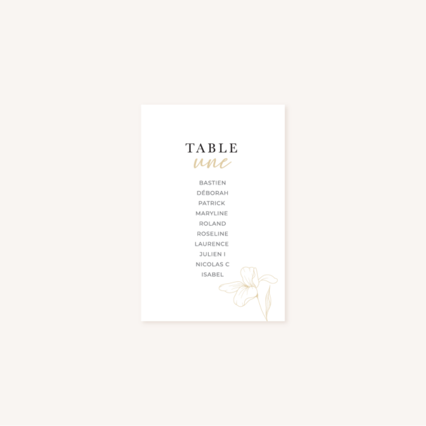 Plan de table faire-part eucalyptus vegetal nature mariage