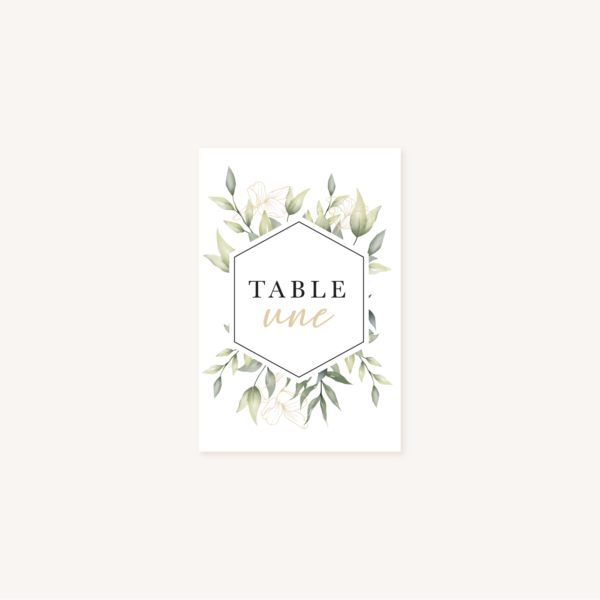 Nom de table faire-part eucalyptus vegetal nature mariage