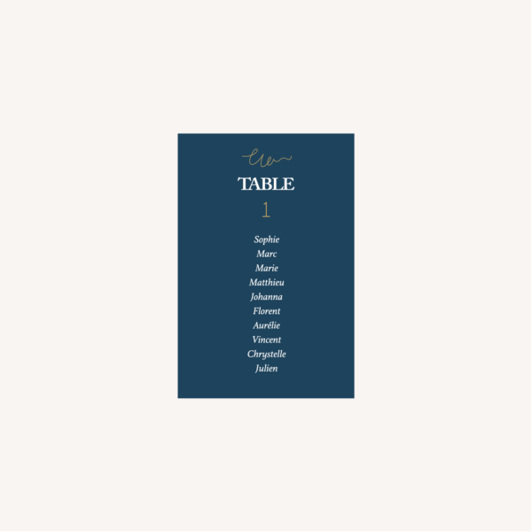 plan de table mariage bleu marine, élégant, dore, or, fleurs