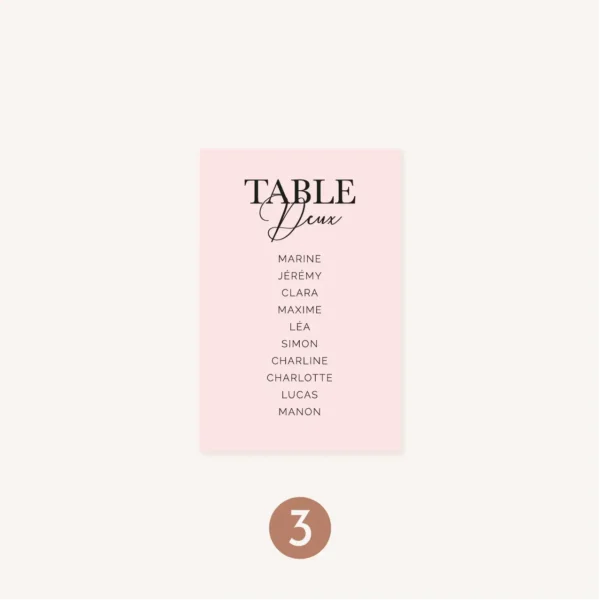 Plan de table mariage Amour, romantique, rose