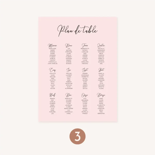 Plan de table mariage Amour, romantique, rose