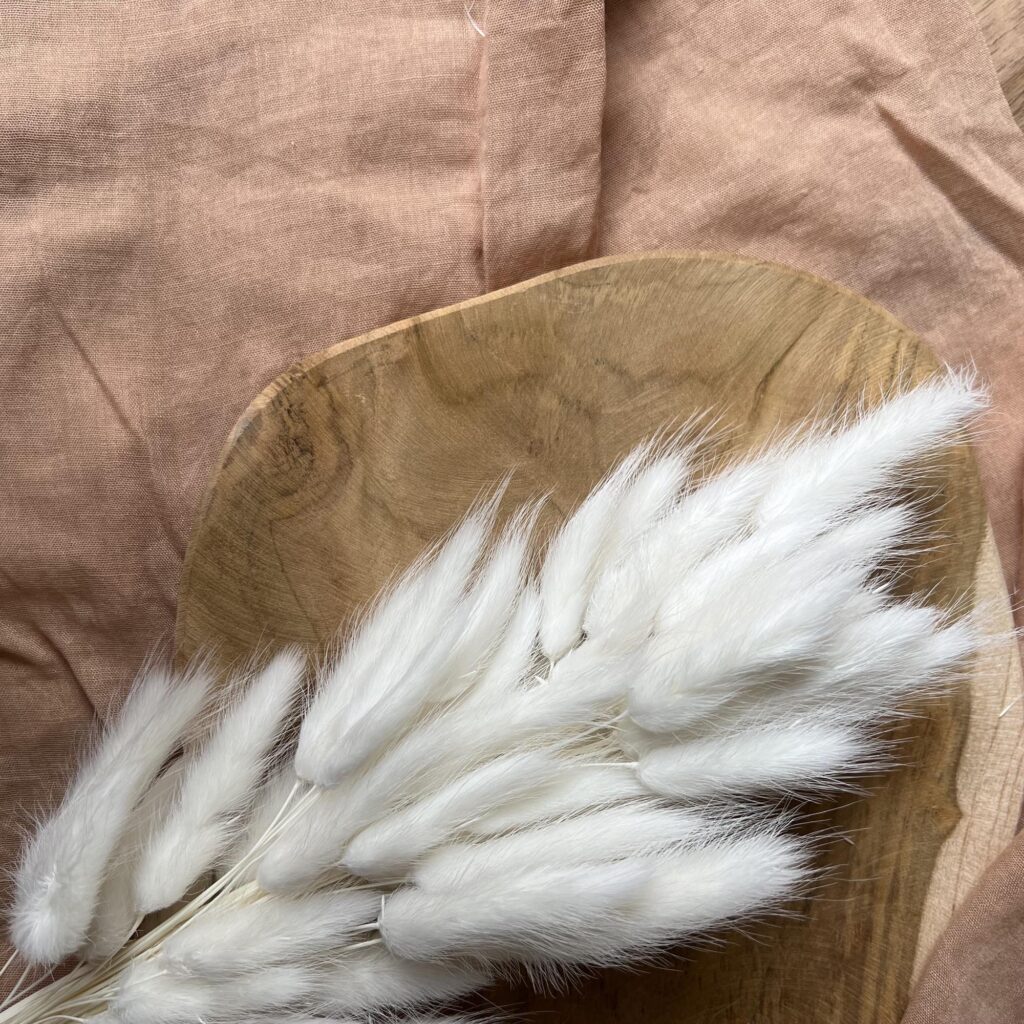 MECCANIXITY Lot De 60 Queues De Lapin Naturelles Séchées - 61 Cm - Mini Herbe De La Pampa Lagurus Ovatus - Bouquet Pour Décoration Florale De Mariage, Noël, Jaune Clair